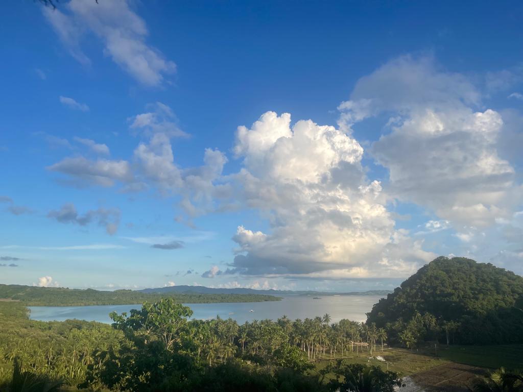 View to Carabao Island & Baracay