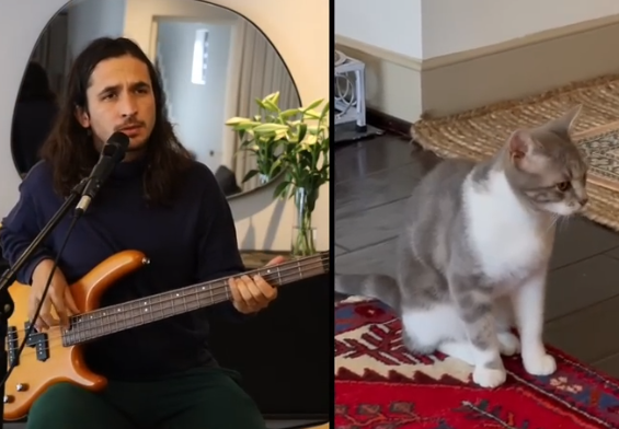 CAT MUSIC
